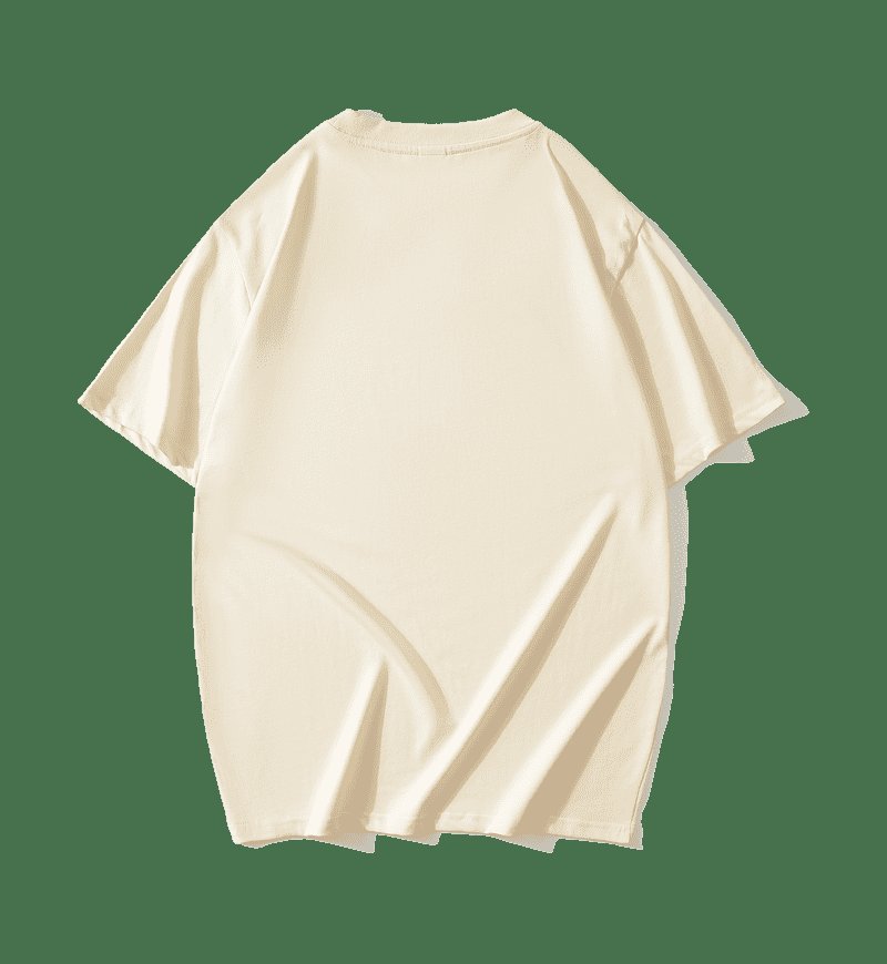 Premium 40S 2-Ply 100% Cotton Basic Crew Neck Adult T-Shirt – Heavyweight 210 GSM OEM Factory Supply